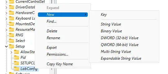 windows 11 labconfig new key